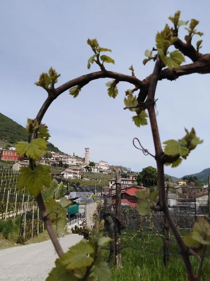 Gospodarstwo agroturystyczne Agriturismo Vigneto Vecio Valdobbiadene