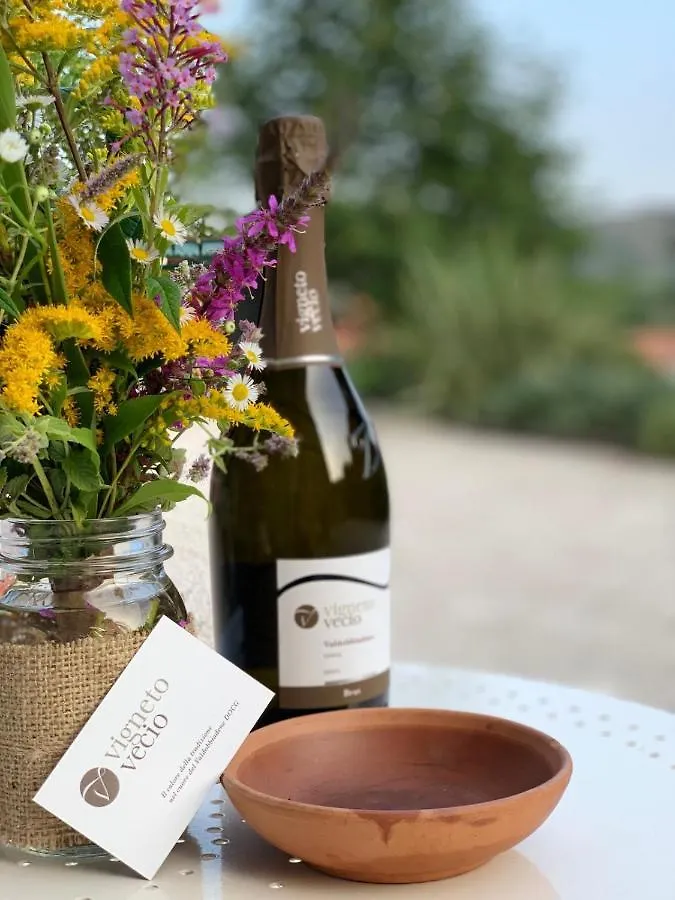 Agriturismo Vigneto Vecio Valdobbiadene 0*,  Włochy